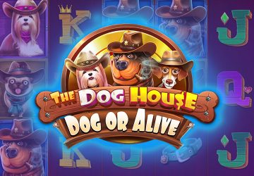 Playtech - игровой автомат онлайн от Various с RTP 96.34%